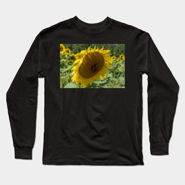 Bumble Bees At Work Long Sleeve T-Shirt by Ckauzmann